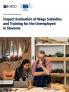 Impact Evaluation of Wage Subsidies and Training for the Unemployed in Slovenia