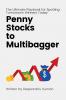Penny Stocks to Multibagger