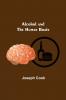 Alcohol And The Human Brain