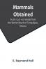 Mammals Obtained by Dr. Curt von Wedel from the Barrier Beach of Tamaulipas Mexico