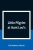 Little Pilgrim at Aunt Lou's