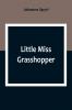Little Miss Grasshopper