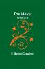 The Novel; what it is