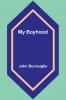 My Boyhood