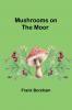 Mushrooms on the Moor