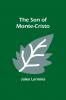 The Son of Monte-Cristo