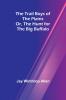 The Trail Boys of the Plains; Or The Hunt for the Big Buffalo