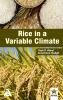 Rice in a Variable Climate