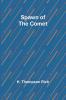 Spawn of the Comet