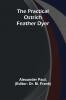 The Practical Ostrich Feather Dyer
