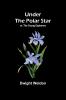 Under the Polar Star; or The Young Explorers