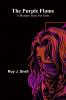 The Purple Flame; A Mystery Story for Girls