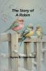 The Story of a Robin