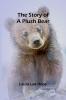 The Story of a Plush Bear