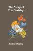 The Story of the Gadsbys