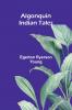Algonquin Indian Tales
