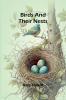 Birds and their nests