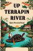 Up Terrapin River