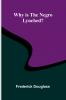 Why is the Negro Lynched?
