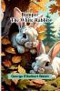 Bumper The White Rabbit