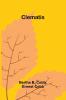 Clematis