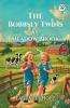The Bobbsey Twins At Meadow Brook