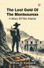 The Lost Gold Of The Montezumas A Story Of The Alamo