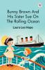 Bunny Brown And His Sister Sue On The Rolling Ocean