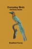 Everyday Birds