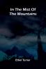 In The Mist Of The Mountains