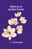 Mystery At Lynden Sands