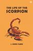 The Life Of The Scorpion