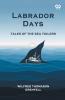 Labrador Days Tales Of The Sea Toilers