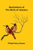 Illustrations Of The Birds Of Jamaica