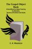 The Gospel Object Book