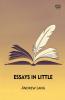 Essays In Little