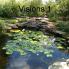 Visions 1