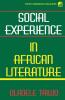 Social Experience in African Literature
