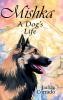 Mishka - A Dog's Life