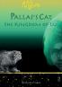 Pallas's Cat - The Kingdom of Lu