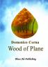 Wood of Plane