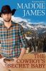 The Cowboy's Secret Baby