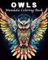 Owl Coloring Book