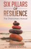 Six Pillars of Resilience