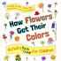 How Flowers Get Their Colors