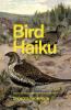Bird Haiku