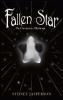 Fallen Star
