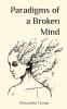 Paradigms of a Broken Mind