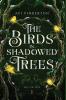The Birds in Shadowed Trees