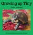 Growing up Tiny. Tiny's First Year